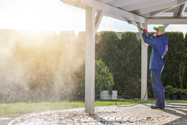 Best Soft Washing  in Allegan, MI